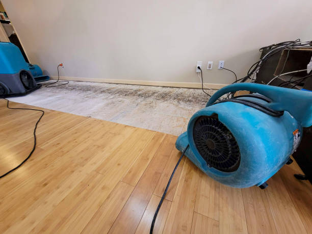 Professional Water Extraction technician working in Kiowa, CO